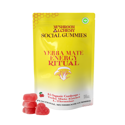 Social Gummy Yerba Mate Energy Ritual