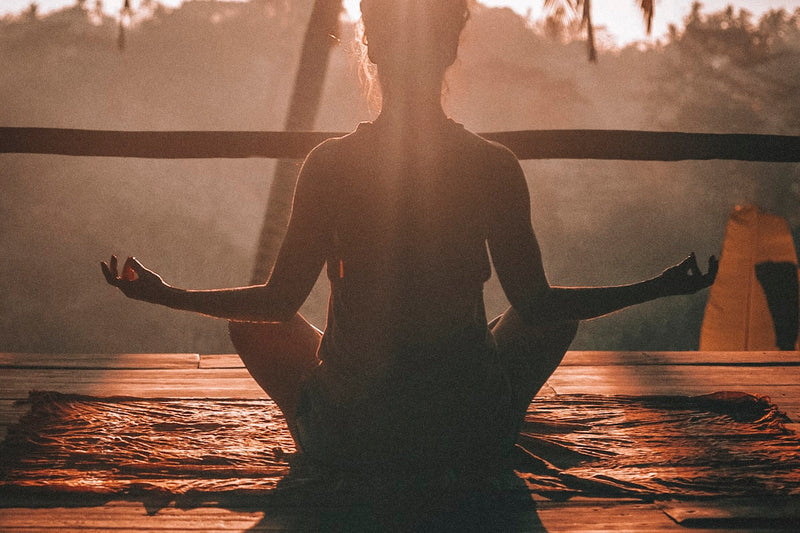 Person meditating peacefully in morning sunlight with plants