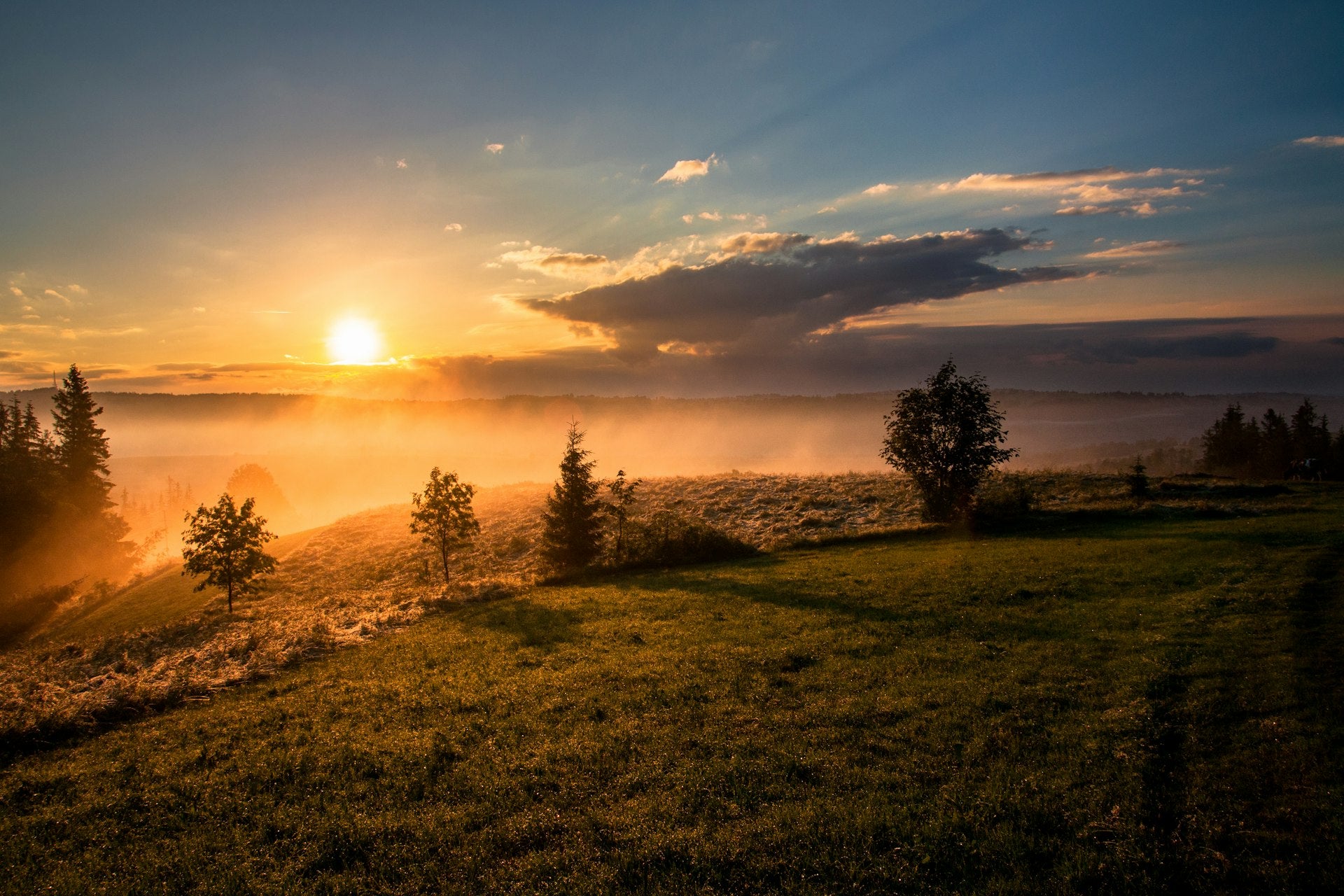 Golden sunrise light streaming through nature