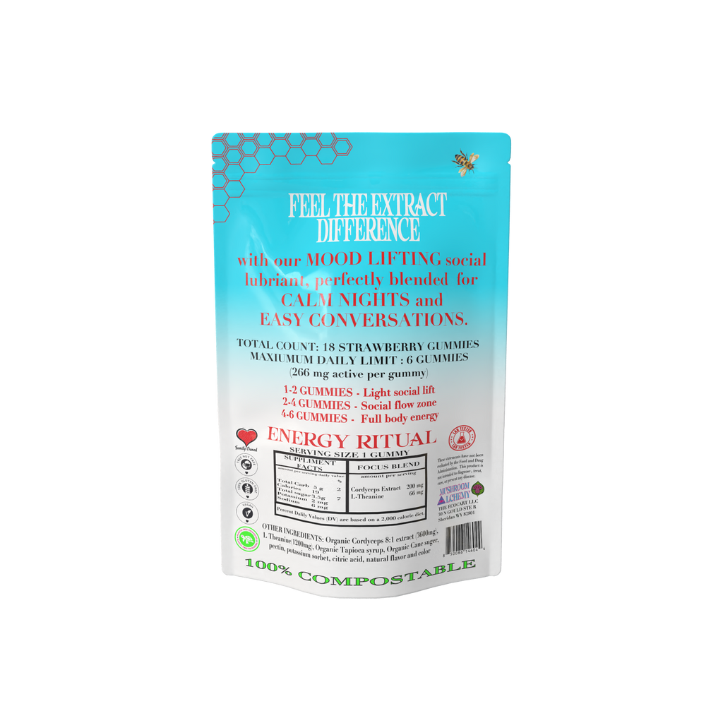 Mushroom Alchemy Social Gummy Mood Lyft Energy Ritual back packaging with ingredients and dosing guide