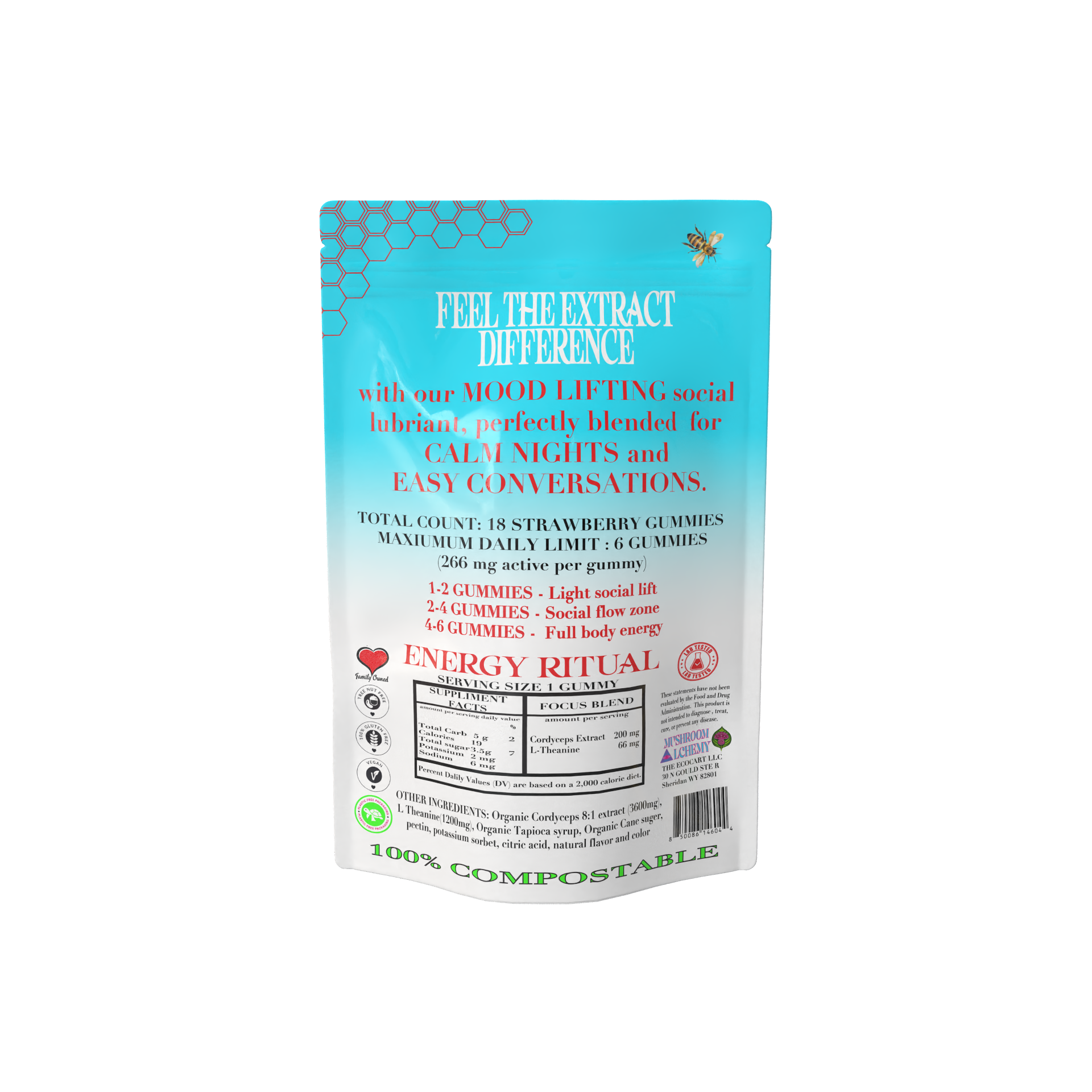 Mushroom Alchemy Social Gummy Mood Lyft Energy Ritual back packaging with ingredients and dosing guide
