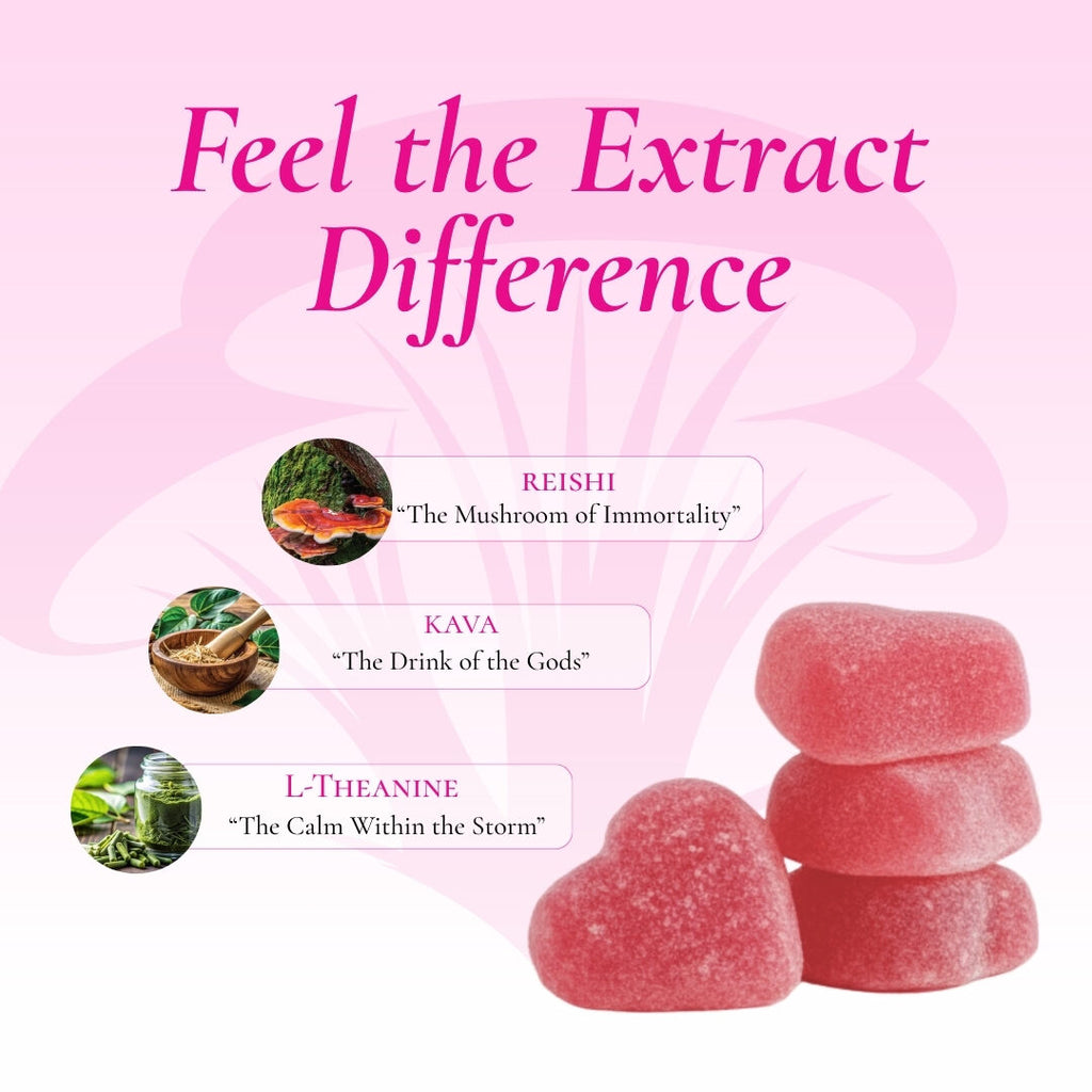 Bliss Relaxation gummy ingredients: Reishi, Kava, L-Theanine