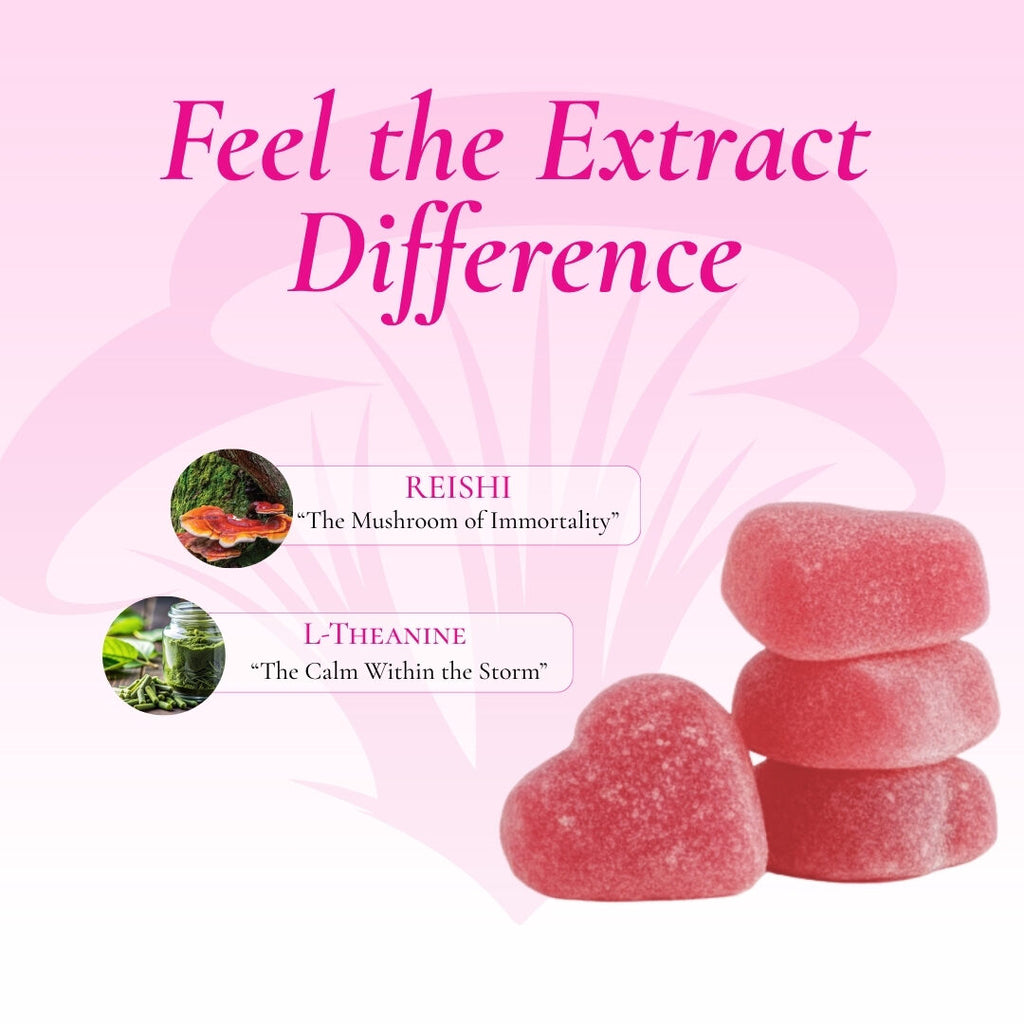 Calm gummy ingredients: Reishi, L-Theanine