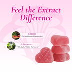 Calm gummy ingredients: Reishi, L-Theanine
