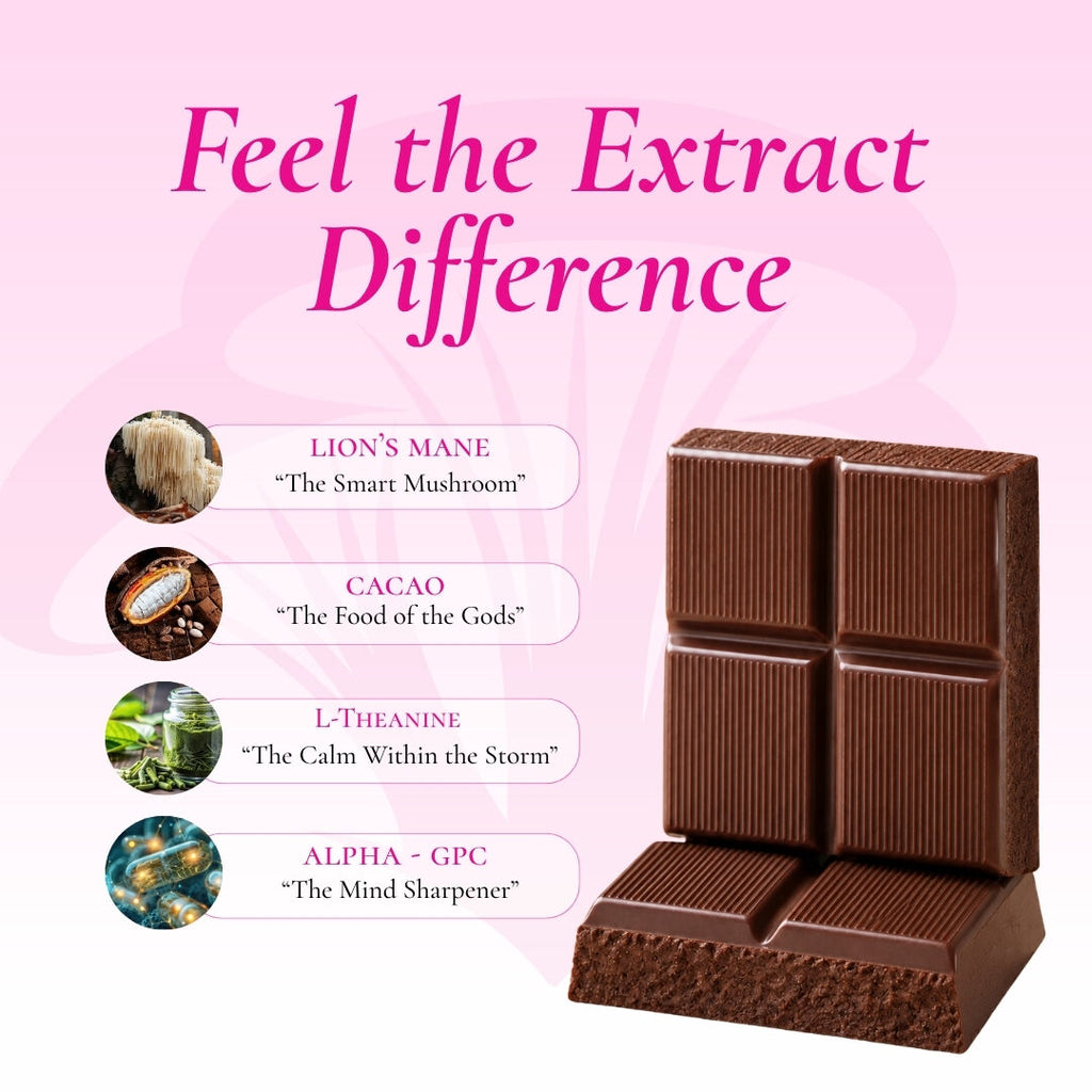 Focus chocolate ingredients: Lion's Mane, Cacao, L-Theanine, Alpha-GPC