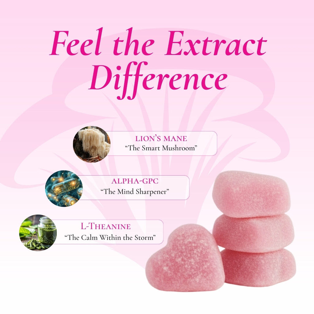 Focus gummy ingredients: Lion's Mane, Alpha-GPC, L-Theanine