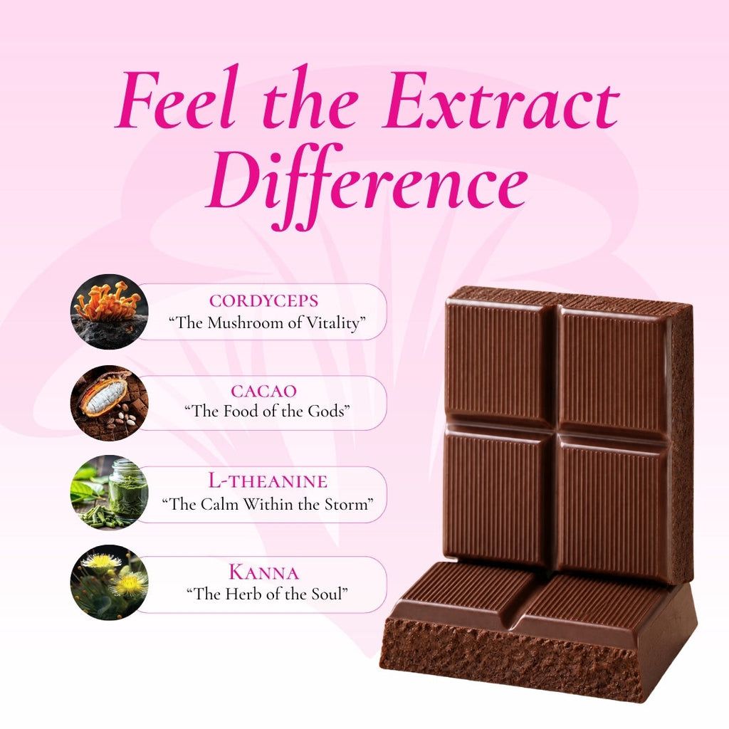 Kanna Relaxation chocolate ingredients: Cordyceps, Cacao, L-Theanine, Kanna