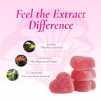 Kanna Relaxation gummy ingredients: Kanna, Cordyceps, L-Theanine