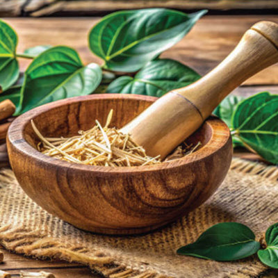 Kava