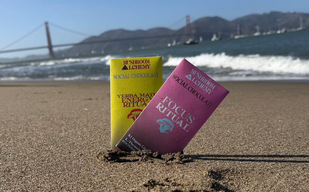 Mushroom Alchemy Focus and Energy chocolate bars on the beach by the Golden Gate Bridge