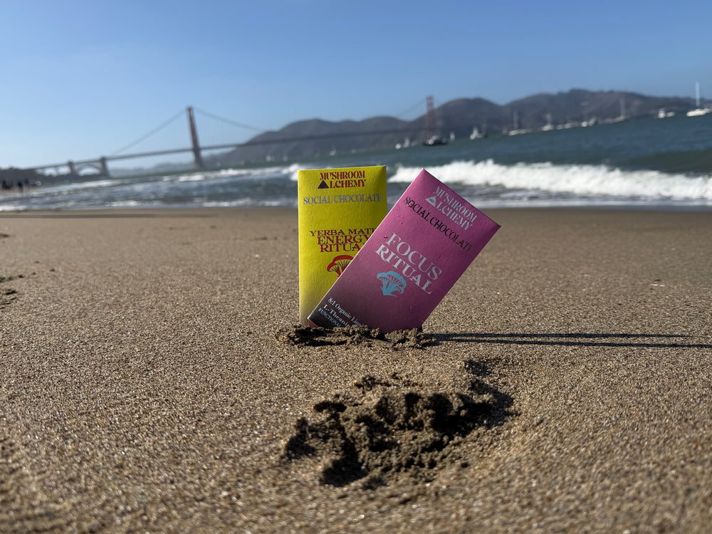 Mushroom Alchemy Focus and Energy chocolate bars on the beach by the Golden Gate Bridge