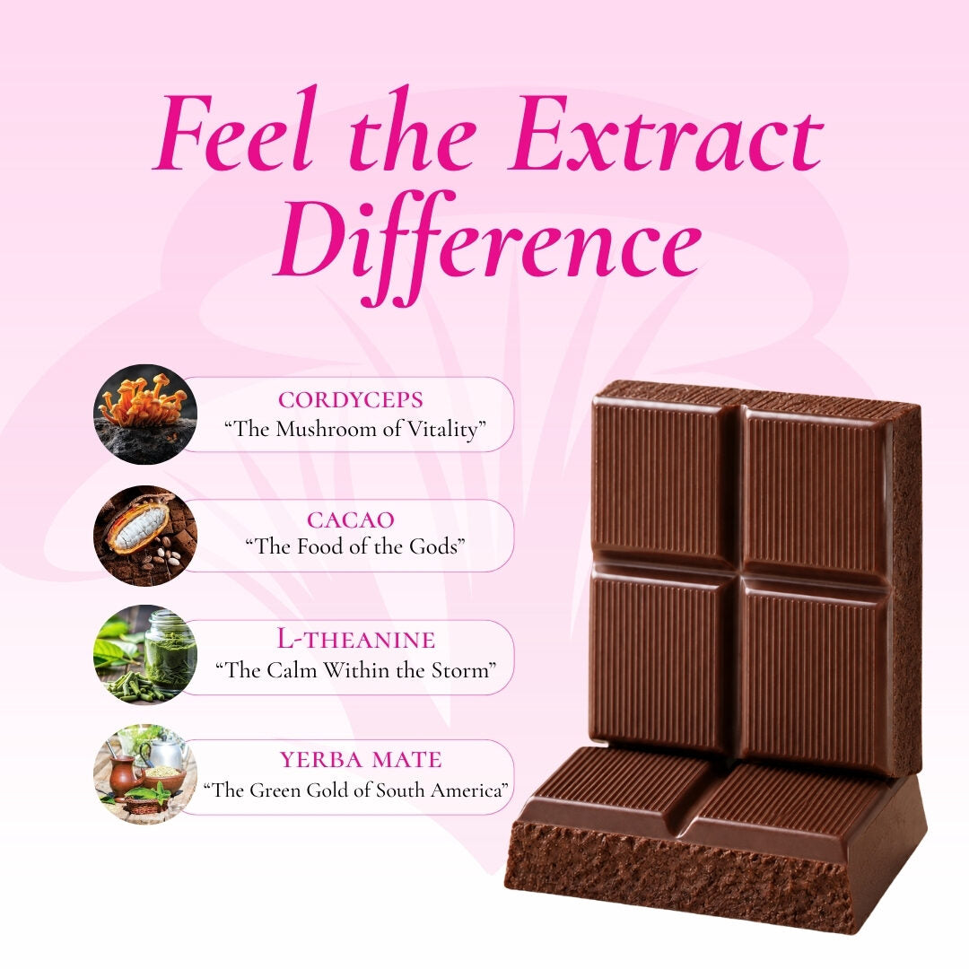 Yerba Mate Energy chocolate ingredients: Cordyceps, Cacao, L-Theanine, Yerba Mate