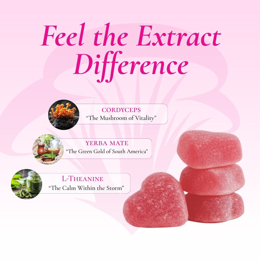 Yerba Mate Energy gummy ingredients: Cordyceps, Yerba Mate, L-Theanine